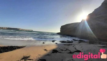 PilarSotoParacas - Pisco 11601
