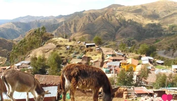 Pitumarca - Acomayo - Perú
