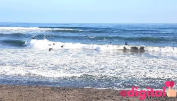 Playa Punta Bombon - Punta De Bombón 04436