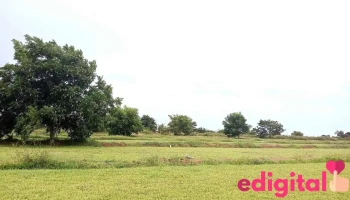 Proyecto Las Jollas del Bosque Chilca - Los Olivos 15304