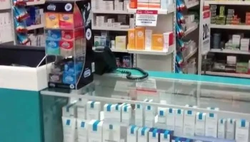 puntofarma - San Isidro