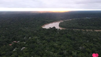 Rainforest Tambopata Wild - Puerto Maldonado 17001