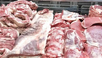San Nicolás Carnicería - Perú 963