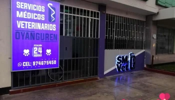 Servicios Médicos Veterinarios 24 Horas Oyanguren - Sede San Luis - San Luis