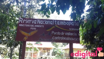 Tambopata Giant Otter Expeditions - Puerto Maldonado 17001