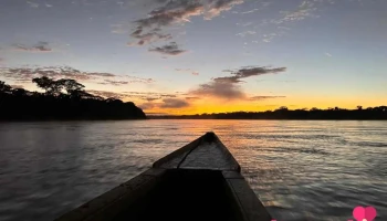 Tambopata Manu Expeditions - Puerto Maldonado 17001