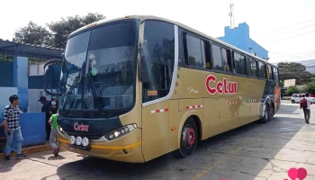 Terminal de Buses Flores Cetur - Nasca 11401