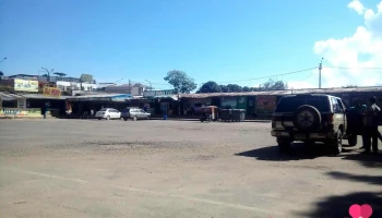 Terminal de Buses - Moyobamba 22001