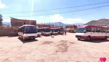 Terminal de buses Nuevo Amanecer - Cusco 08006