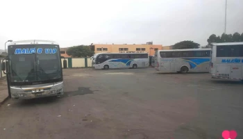 Terminal Huapaya - Mala 15608