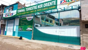 Terminal Turismo Dias Sa - Jaén 06801