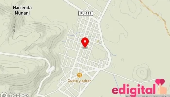 Tienda De Repuestos De Moto Zaol - Muñani 21346
