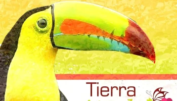 Tierra Verde Tours - Tarapoto 00222
