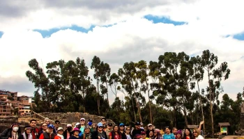 Top Alpaka Travel - Cusco 08002