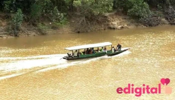 Tour Pacaya Samiria - Iquitos 16003