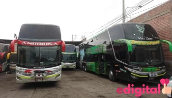 Transportes Andoriña - Agencia Arequipa - Arequipa
