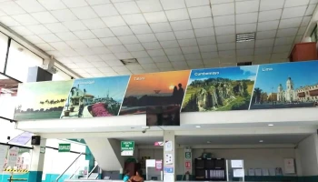 Transportes Flores, terminal terrestre tumbes - Tumbes 24001