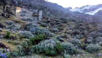 Transportes Renzo Tours Srl - Pomabamba - Huaraz S/n