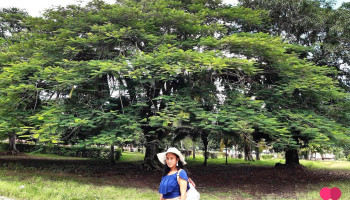 Tucan Tours - Pangoa 12321