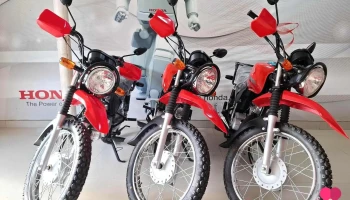 Ucayali Motors - Perú