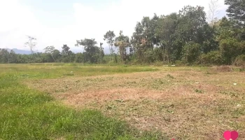 Urb. Naranjito - -76.534781