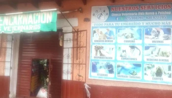 Veterinaria petshop encarnación - Sicuani
