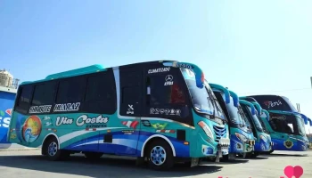 Via Costa - Empresa de Transporte (Casma) - Casma