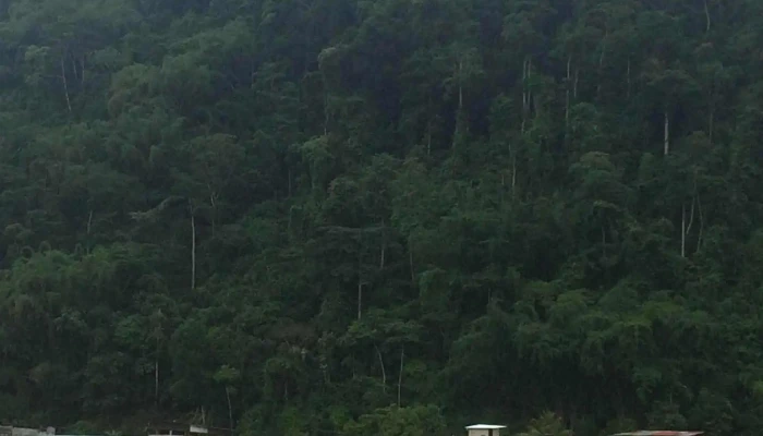 Aeropuerto De Tingo Maria Fotos - Jose Abelardo Quiñones