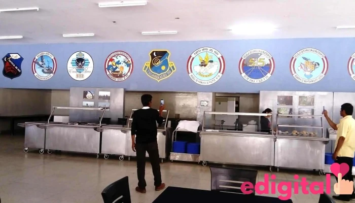 Aeropuerto Internacional Capitán Fap Renán Elías Olivera - Pisco 11601