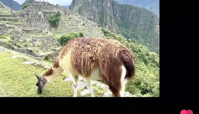 Agencia De Viajes En Lima Peru Dayana Tours S.a. - Peru