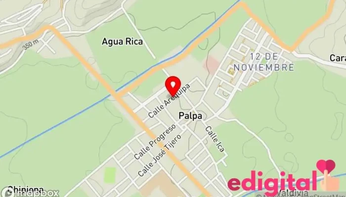 Agente Banco de la Nación - Palpa 11331