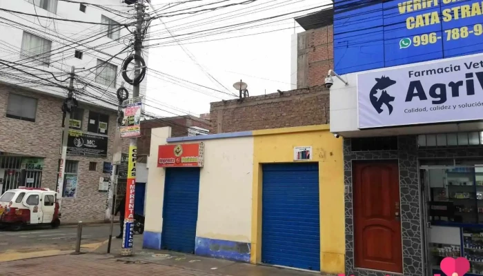 Agrivet Farmacia Veterinaria -  Del Propietario - San Vicente de Cañete