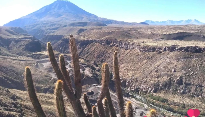 Alto Cayma - Cayma 04018