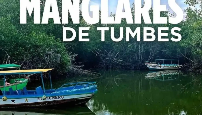 Ama Tours Máncora - Peru