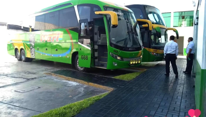 Angecia de buses Palomino Wari Ruta Andahuaylas-Lima - Andahuaylas 03701