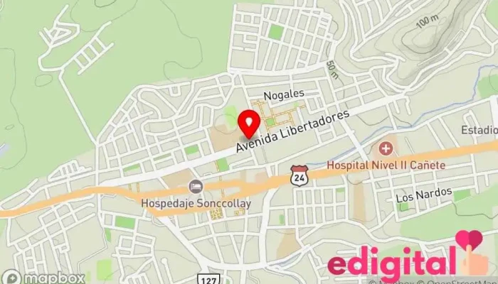 mapa de ASESORIA FARMACEUTICA Y OTROS ETC. Farmacia en San Vicente de Cañete