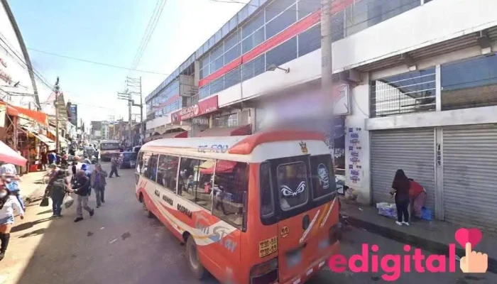 Avícola Pie grande - Huancas 1110