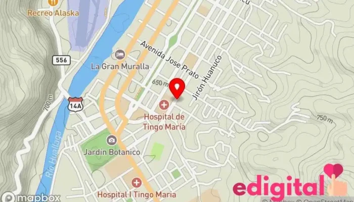 mapa de Botica Alissfarma Farmacia en Huánuco