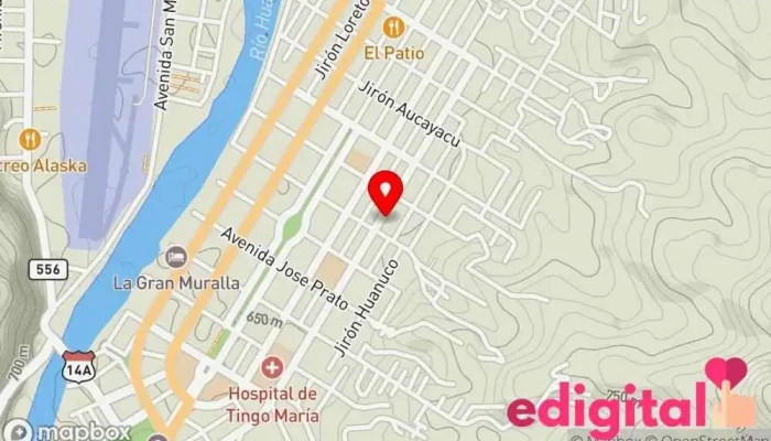 mapa de Botica Bella Farma Farmacia en Tingo María