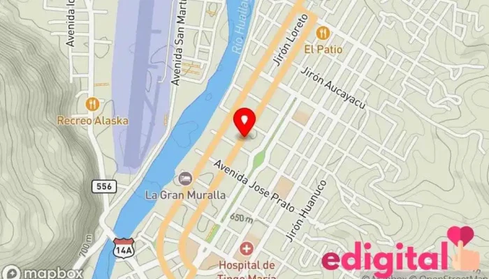 mapa de BOTICA BELLA MARCELITA Farmacia en Tingo María