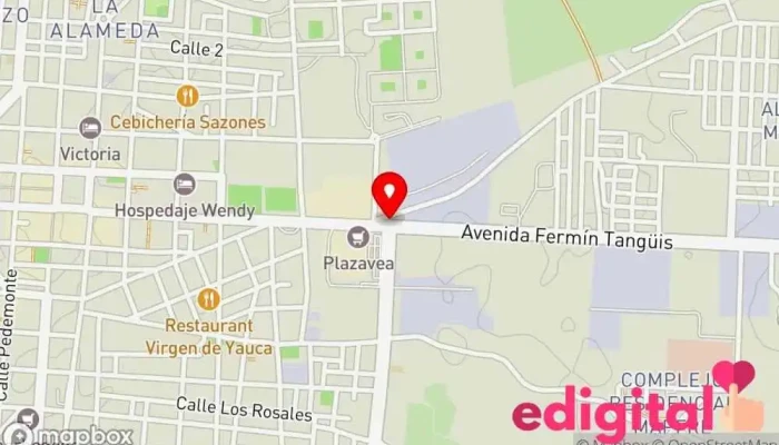 mapa de Botica Choccna Farmacia en Pisco