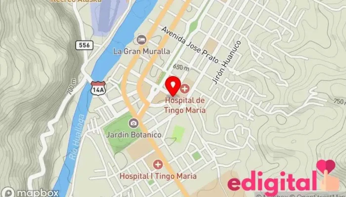 mapa de Botica El Buen Samaritano Farmacia en Tingo María