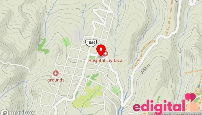mapa de Botica farmaflor Farmacia en Livitaca