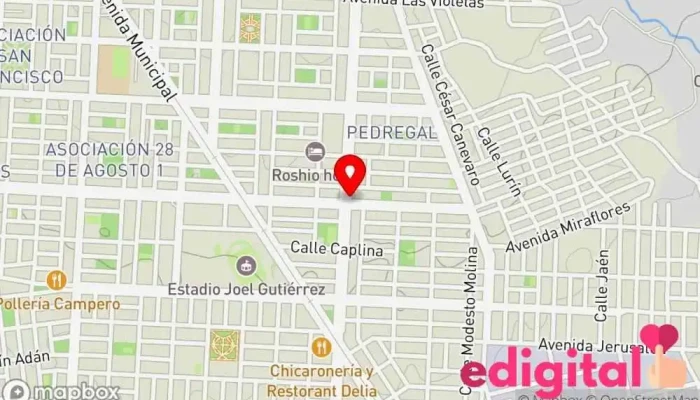 mapa de Botica Farmaplast Farmacia en Tacna
