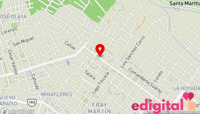 mapa de Botica Josselyn Farmacia en Pucallpa