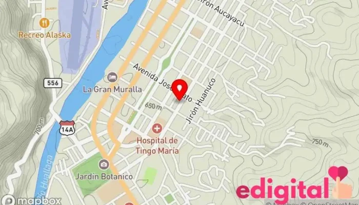 mapa de Botica Lifarma Farmacia en Tingo María