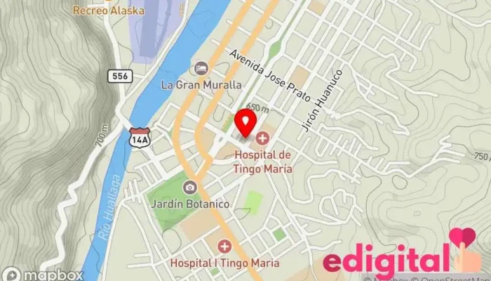 mapa de Botica Lucía Farmacia en Tingo María