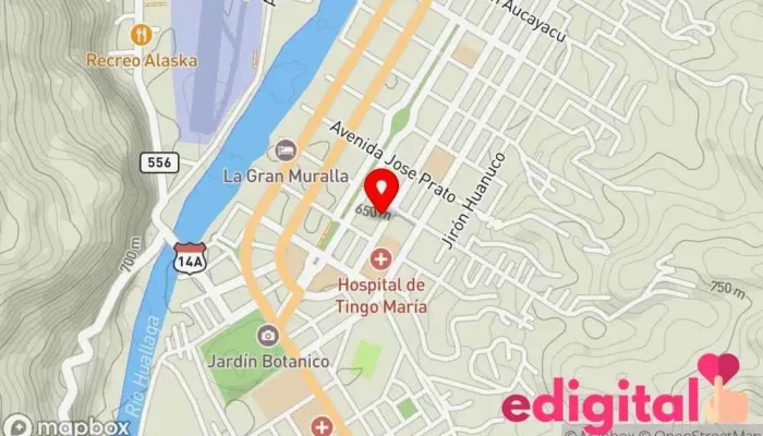 mapa de Botica Lupita Farmacia en Tingo María