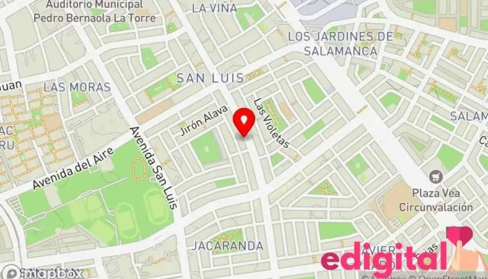 mapa de Botica Mas Salud Farmacia en San Luis