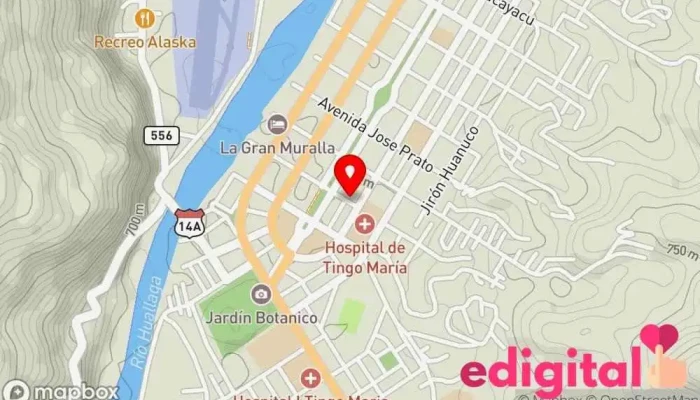 mapa de Botica Más Salud S.A. Farmacia en Tingo María